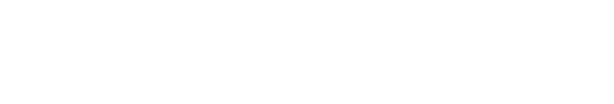 Corvette E-Ray – offizielles Markenlogo in Weiß auf schwarzem Hintergrund