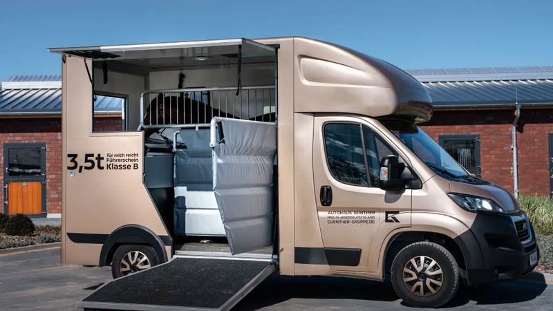 MSG Stablehopper – Innenansicht Pferdeabteil, Detailaufnahme 2