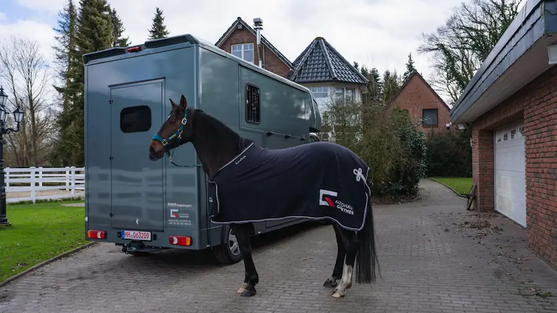 MSG Stablehopper Stallion Light in Grau – Außenansicht